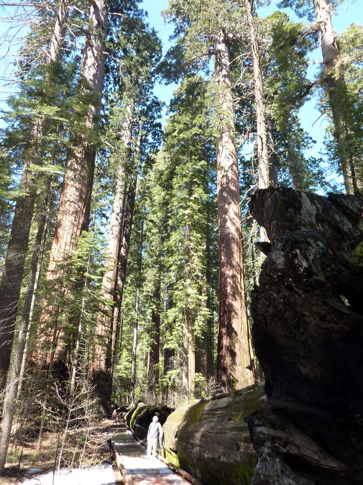 big tree state park (19).JPG